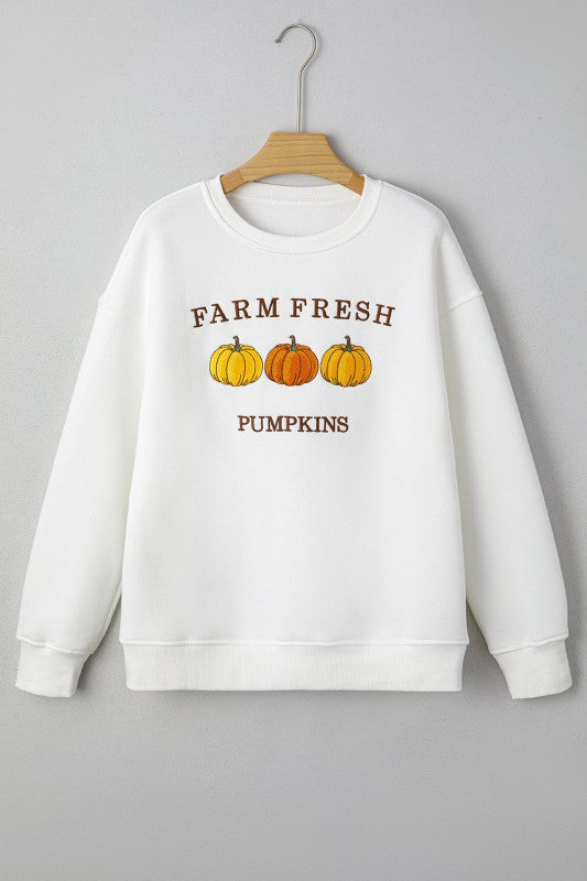 FARM FRESH PUMPKINS Thanksgiving Sweater